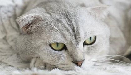 kaiyun体育app-社交媒体热议：谁是本赛季最耀眼的车手？