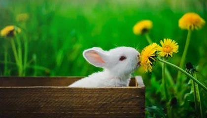 kaiyun体育app-社交媒体热议：谁是本赛季最耀眼的车手？